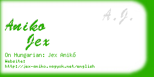 aniko jex business card